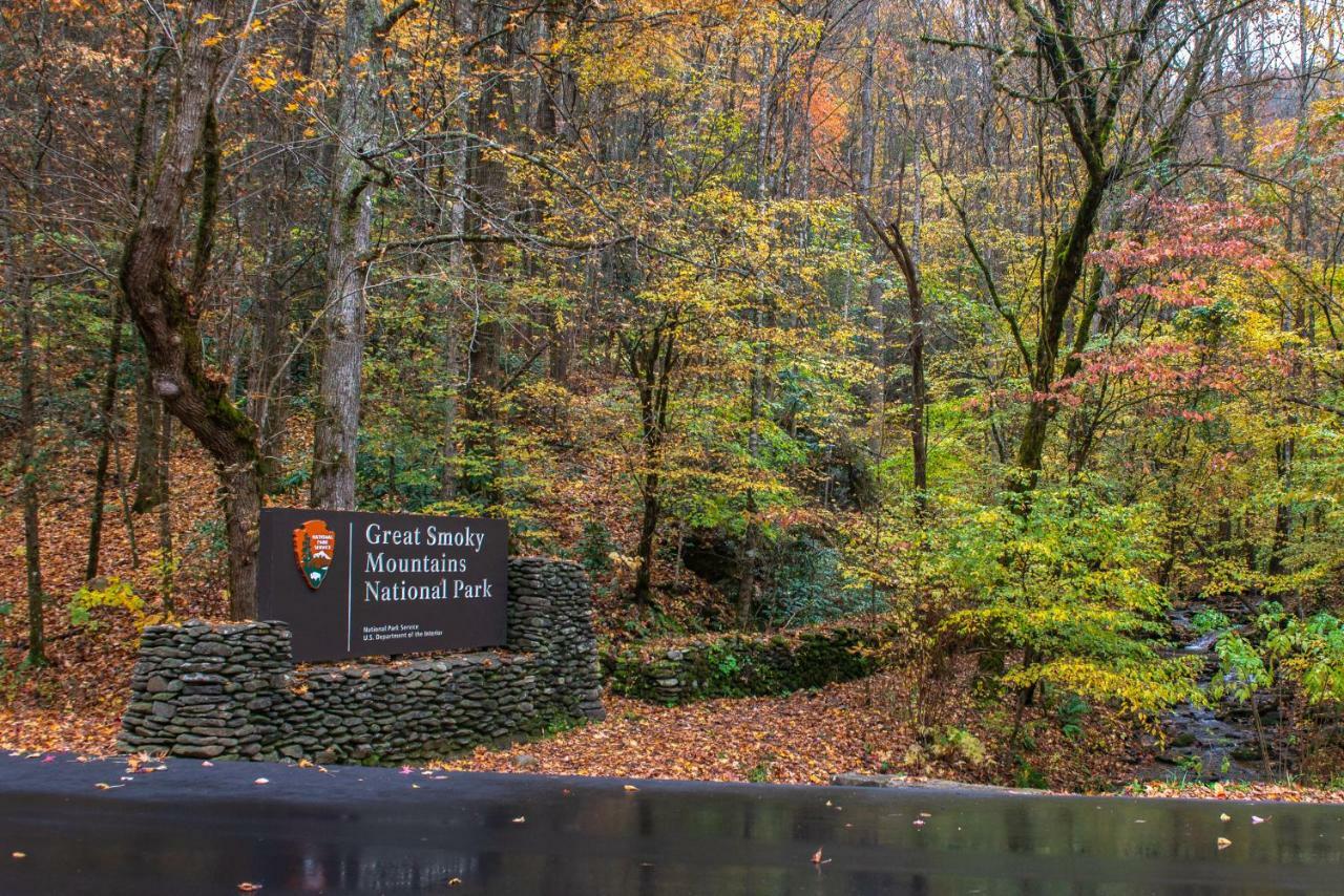 Friendly Bear Cabin Pigeon Forge Ngoại thất bức ảnh