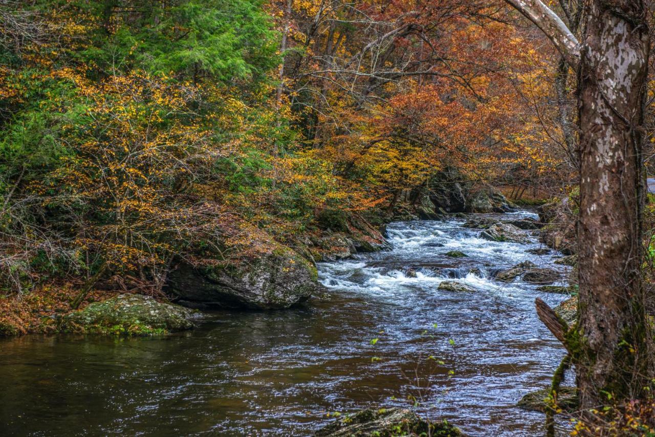 Friendly Bear Cabin Pigeon Forge Ngoại thất bức ảnh